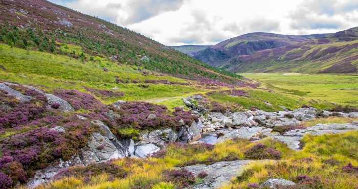 Ontdek Cairngorms National Park tijdens je camperreis door Schotland