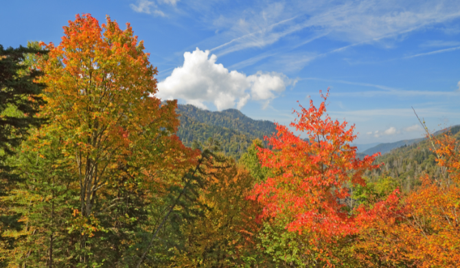 Ga op camperreis tijdens de Indian Summer