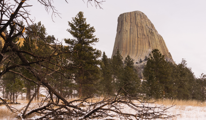 Wegbrengspecial Road Bear bezoek Devils Tower