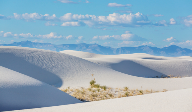 Wegbrengspecial Road Bear bezoek White Sands NP
