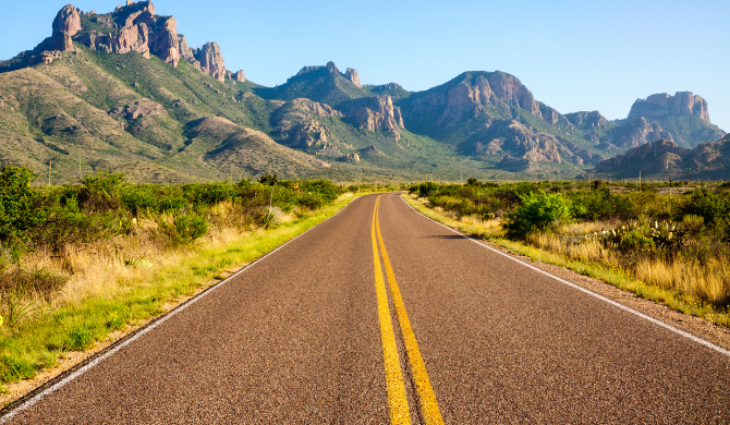 Wegbrengspecial Road Bear Big Bend National Park
