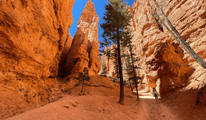 Ontdek Bryce Canyon National park tijdens je camperreis door West-Amerika