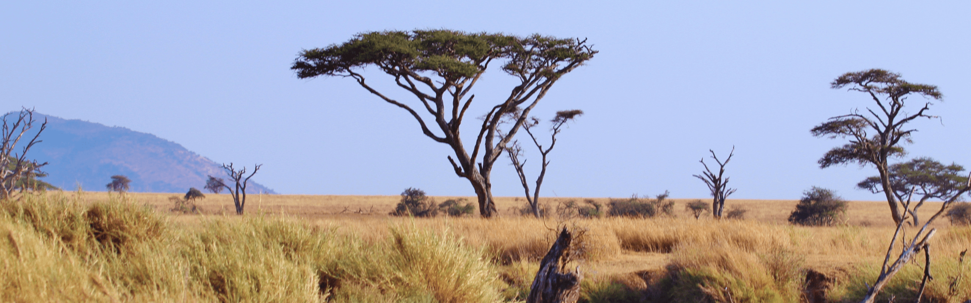 Ga op camperreis door Zuid-Afrika en Namibië met een 4x4 camper van Britz